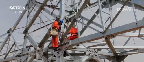 科技自強 會展矩陣 發力 多領域成果豐碩 高質量發展步履鏗鏘